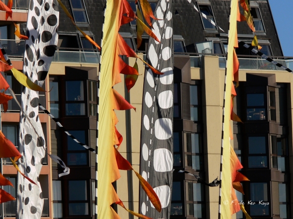 Festival cerfs volants